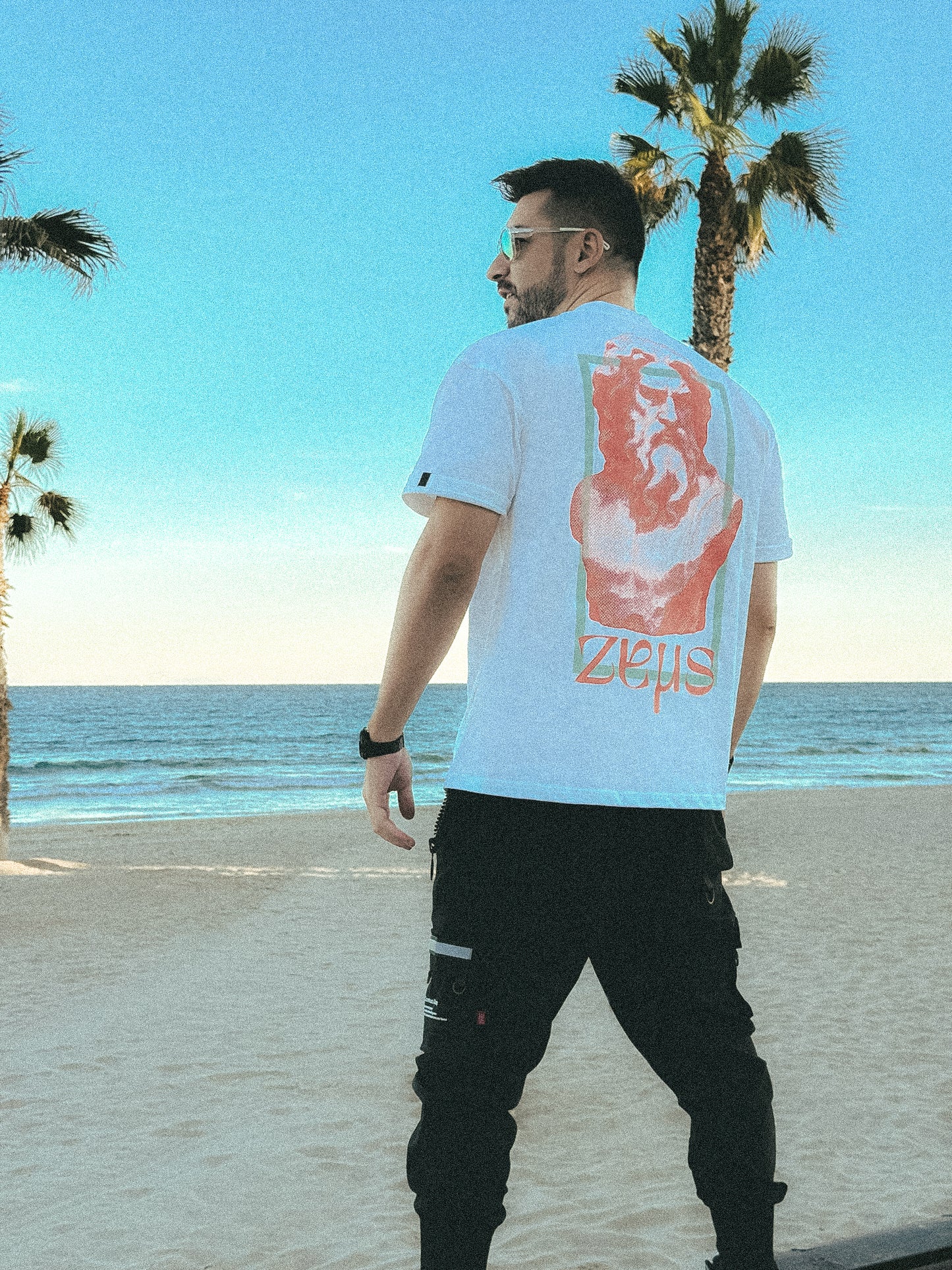 The Gods Zeus Edition