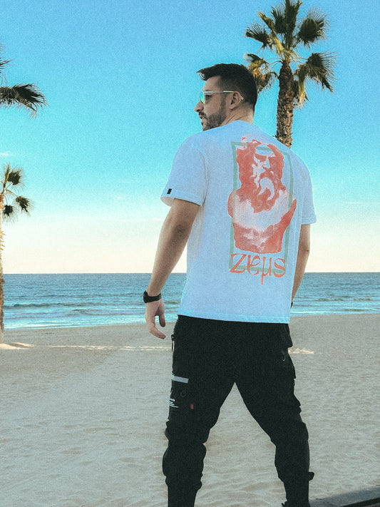 The Gods Zeus Edition