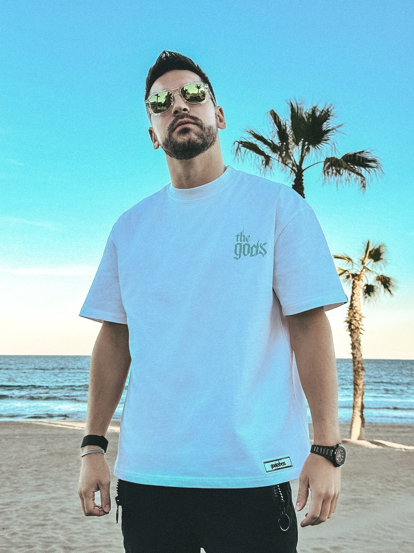 The Gods Zeus Edition